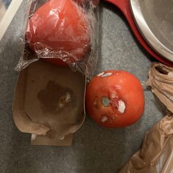 Mold ass tomato's