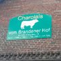 Photo of Charolais-Zuchtbetrieb Brandener Hof
