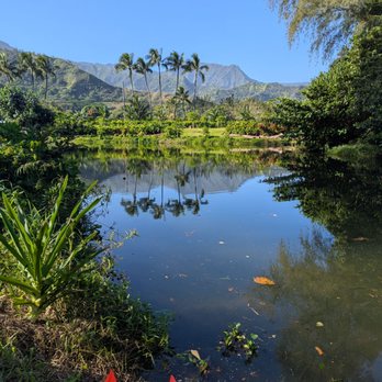 Waipa Foundation - Fish pond--being restored. - Food Tours Near Me - Hanalei, Hawaii