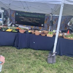 Seminole Heights Sunday Morning Market