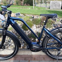 Der Bike Profi - Velo De Ville Street 900 Bosch Cx Antrieb ab € 3799,00