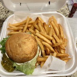 a burger and french fries a burger and french fries