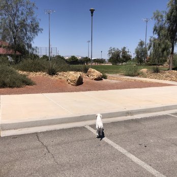 Doc Romeo Park - Parks Near Me - Las Vegas, Nevada