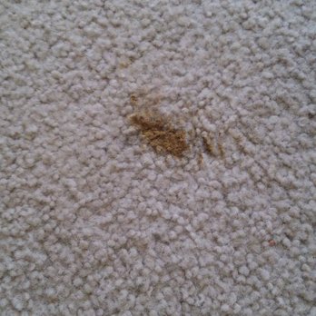 Emerald Isles - Before Orange Tiger cleaner - Home Cleaning Near Me Emerald Isles - Before Orange Tiger cleaner - Home Cleaning Near Me