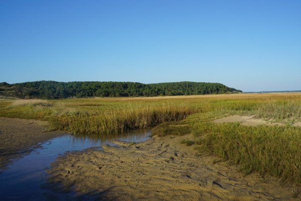 Great Island Trail by null