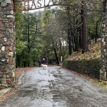 Mossbrae Falls - Access Restricted - Hiking Near Me