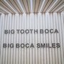 Photo of Big Boca Smiles