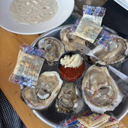 Oysters Oysters