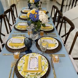 Absolute Party Rental - Tables, chairs, linens, charger plate