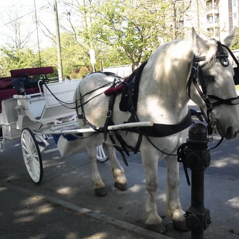 tally ho carriage tours
