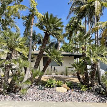 Mr. Martinez Landscaping - Front yard. - Landscaping Near Me - Vista, California Mr. Martinez Landscaping - Front yard. - Landscaping Near Me - Vista, California