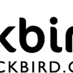 Blackbird