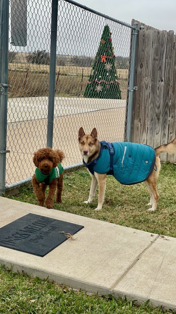 Three Bark Pet Hotel - pet boarding facility in Alvarado, TX