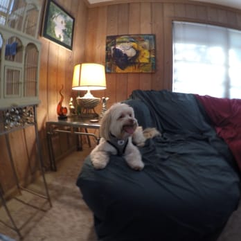 Matthew's Dog Sitting - Pet Sitting Near Me