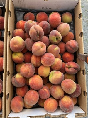 The Vineyard Farmer's Market by null