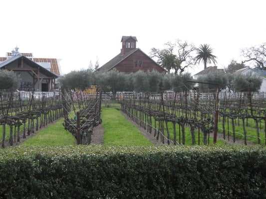 Turnbull Wine Cellars by null