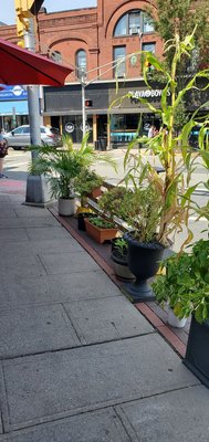 Sonoma Bistro by null