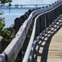 Photo of Ken Thompson Park Preserve