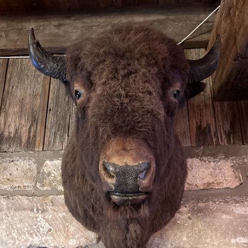YO Ranch Headquarters - Wildlife Hunting Ranges Near Me - Mountain Home, Texas