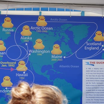 World's Largest Rubber Duck - Festivals Near Me - Los Angeles, California World's Largest Rubber Duck - Festivals Near Me - Los Angeles, California