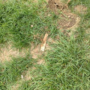 Grover Square Apartments - Chicken bones thrown all over the property so make sure if you have a dog to be careful cooked chicken bones will splinter in the dogs belly - Apartments Near Me - Omaha, Nebraska Grover Square Apartments - Chicken bones thrown all over the property so make sure if you have a dog to be careful cooked chicken bones will splinter in the dogs belly - Apartments Near Me - Omaha, Nebraska