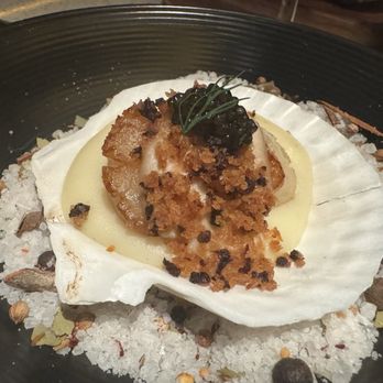 Ossobuco Coconut Grove - Scallop - Steakhouses Near Me - Coconut Grove, Florida Ossobuco Coconut Grove - Scallop - Steakhouses Near Me - Coconut Grove, Florida