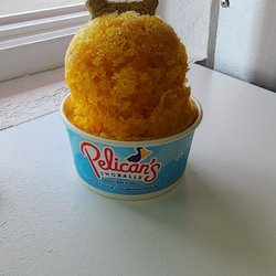 Pelican's SnoBalls of Bradenton