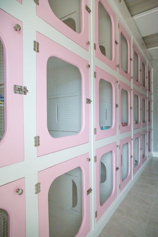 RUFF RUFF PARADISE PET CARE & MORE Updated September 2024 50 Photos