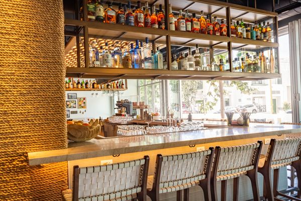 The Surfing Fox by null