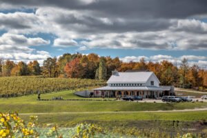 Brengman Family Wines by null