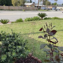 Al Weber & Sons Plumbing & Rooter