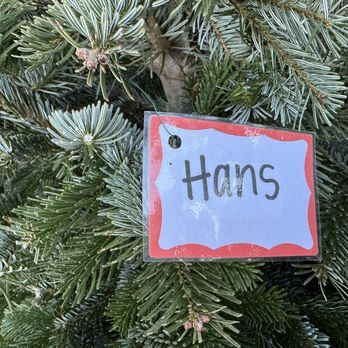 The Secret Garden - Christmas tree - Nurseries & Gardening Near Me - Elk Grove, California The Secret Garden - Christmas tree - Nurseries & Gardening Near Me - Elk Grove, California