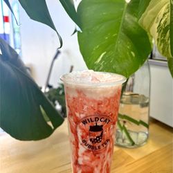 Wildcat Bubble Tea