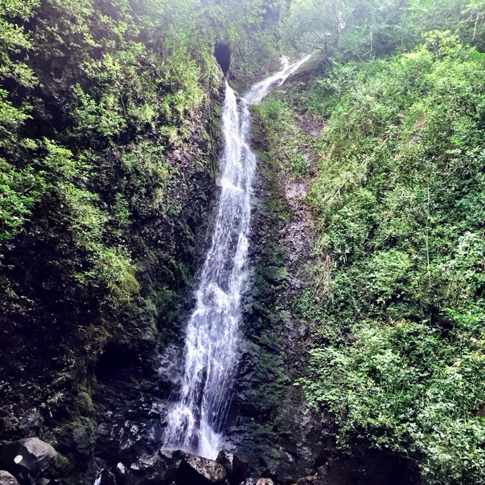 Lulumahu Falls - Hiking Near Me - Honolulu, Hawaii