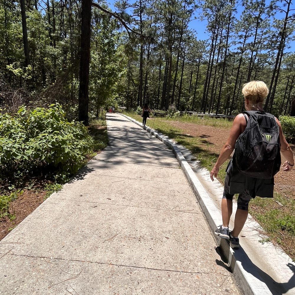 Falling Waters State Park - Path to waterfall - Parks Near Me - Chipley, Florida Falling Waters State Park - Path to waterfall - Parks Near Me - Chipley, Florida