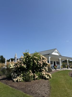 Brys Estate Vineyard & Winery by null