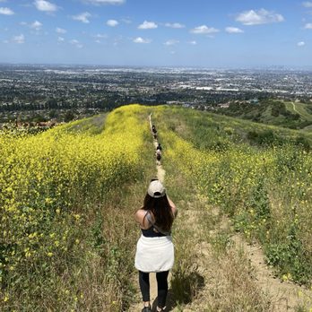 Turnbull Canyon - Hiking Near Me - Whittier, California Turnbull Canyon - Hiking Near Me - Whittier, California