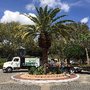 Photo of Flynn's Tree Pros