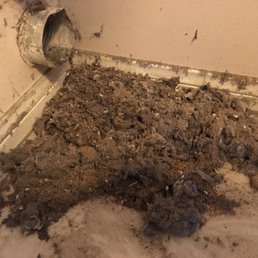 What came out of the dryer vent. What came out of the dryer vent.