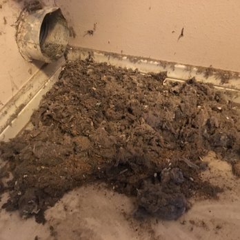Clean & Clear Dryer Vent Service - What came out of the dryer vent. - Air Duct Cleaning Near Me Clean & Clear Dryer Vent Service - What came out of the dryer vent. - Air Duct Cleaning Near Me