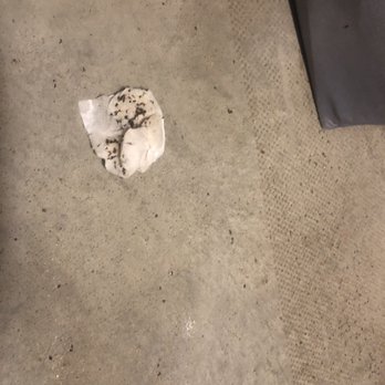 PMC Property Group - Ants in the closet - Commercial Real Estate Near Me - Richmond, Virginia
