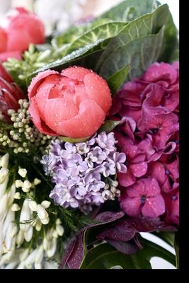 Bee & Pollen by null