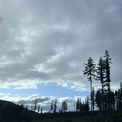 Quality Inn & Suites - Olympic National Park