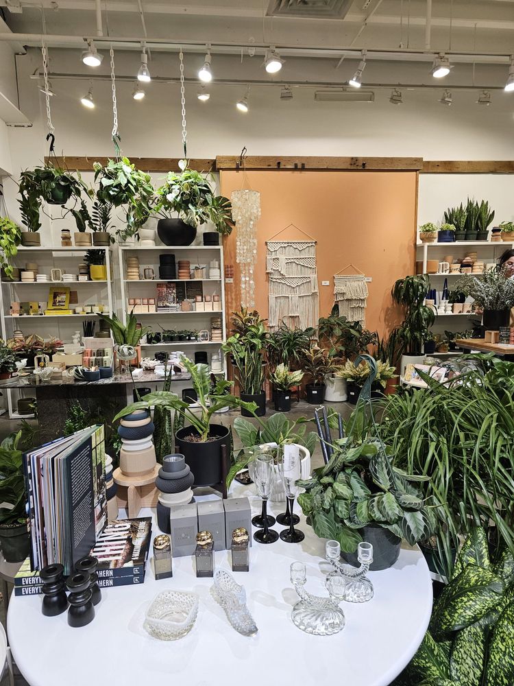 Jungle and Loom
