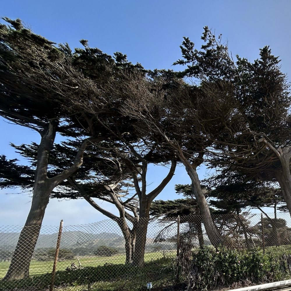 Sharp Park Beach