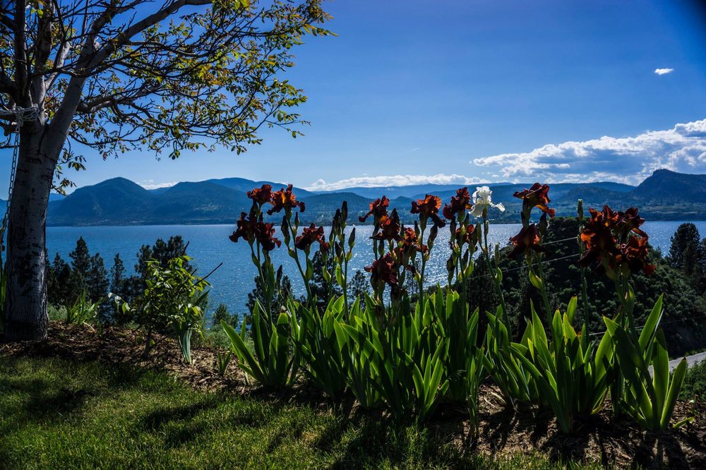 KETTLE VALLEY WINERY Updated May 2024 11 Photos 2988 Hayman Rd, Naramata, British Columbia