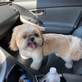 Original Grooming - Pet Groomers Near Me - Fremont, California