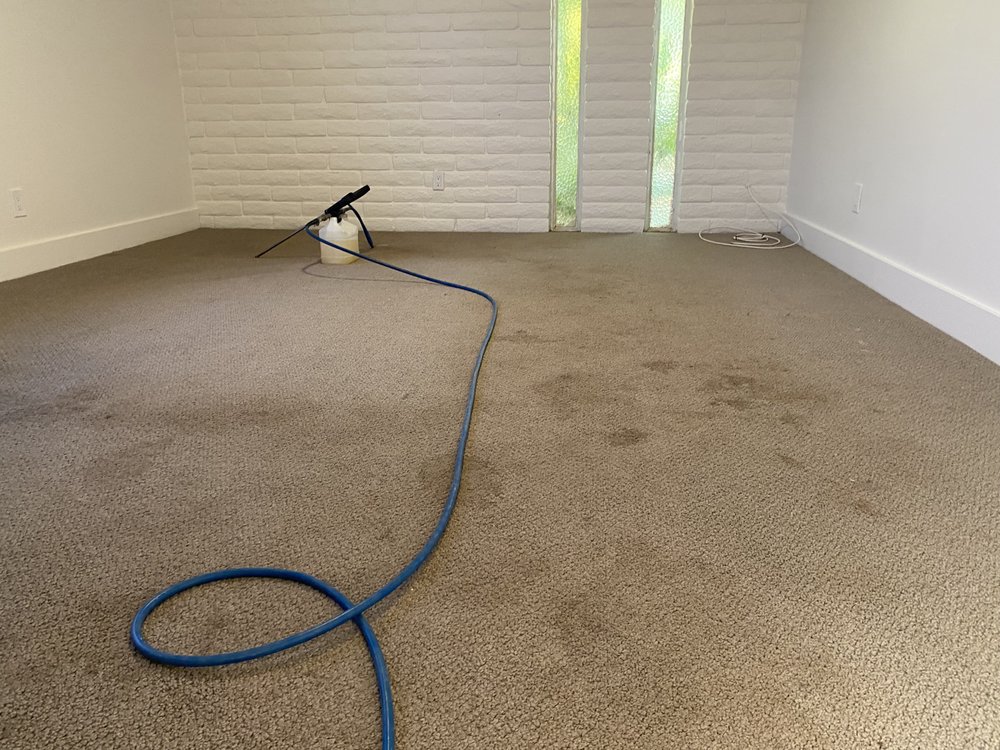 CITRUSGO CARPET CLEANING Updated September 2024 40 Photos & 42