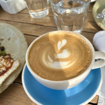 Fig Tree - Latte - Cafes Near Me - Los Angeles, California Fig Tree - Latte - Cafes Near Me - Los Angeles, California