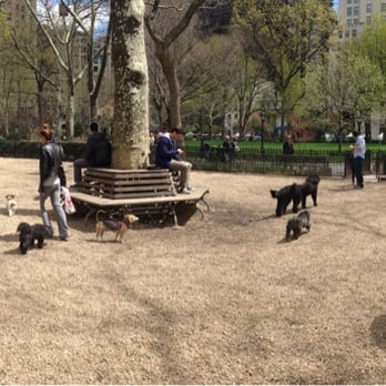 Madison Square Park Conservancy - Dog Parks Near Me - New York, New York Madison Square Park Conservancy - Dog Parks Near Me - New York, New York